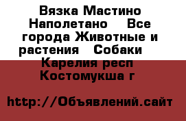 Вязка Мастино Наполетано  - Все города Животные и растения » Собаки   . Карелия респ.,Костомукша г.